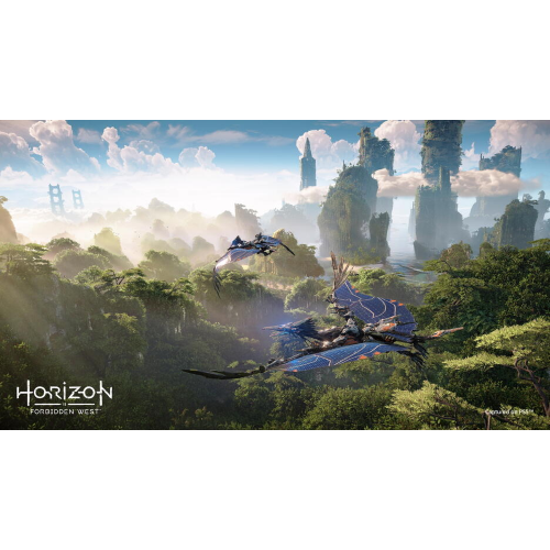 Horizon Forbidden West PS4/PS5 SV/DA/FI/NO Horizon Forbidden West PS4/PS5 SV/DA/FI/NO